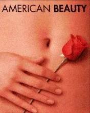pic for American Beauty